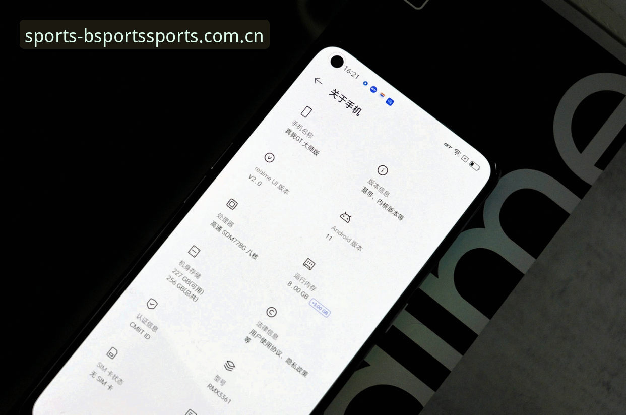 Bsports体育苹果版深度分析：从安装到体验的全面技术评测